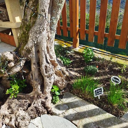Amphiorama Villa La Spezia Luaran gambar